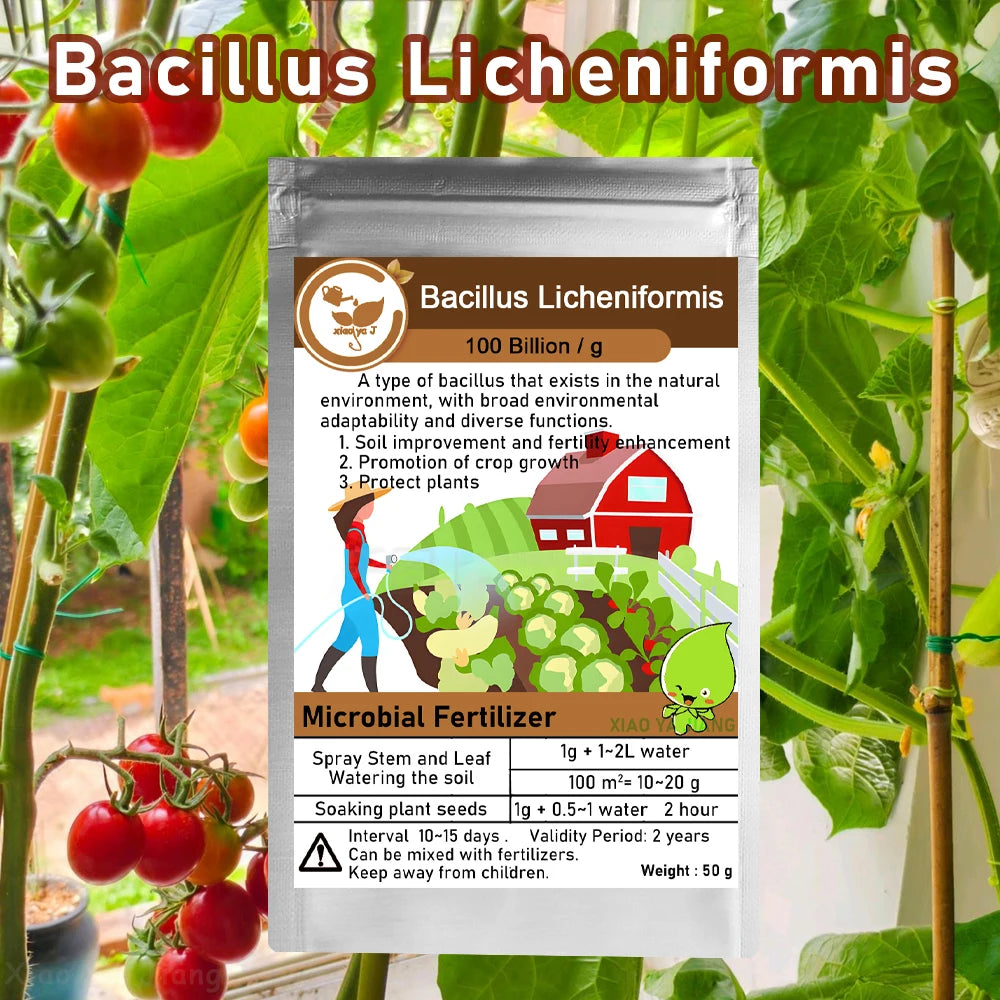 50g Bacillus Licheniformis 100 Billion Microbial Organic Fertilizer Organic Farming Improves Soil Structure & Plant Vitality