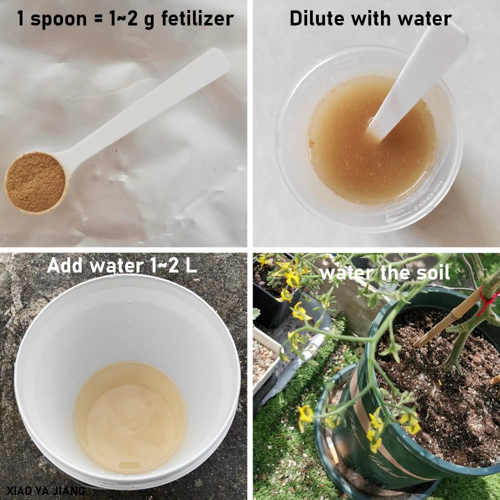 50g Bacillus Licheniformis 100 Billion Microbial Organic Fertilizer Organic Farming Improves Soil Structure & Plant Vitality